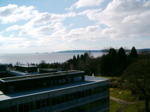 View of sea from my office
